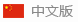中文版（bǎn）