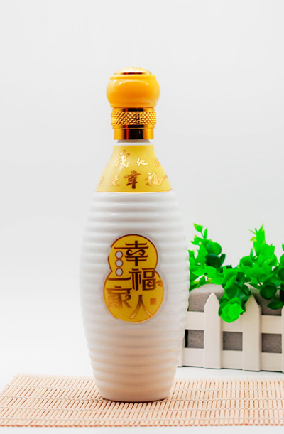 新款彩瓶-372